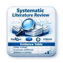Systematic Literature Review